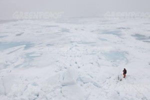 Inconvenient truth: Antarctic maximum total ice is growing and headed for new record as the planet warms