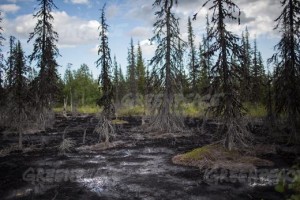 Russia’s economy benefits from policy of encouraging as much oil drilling as possible